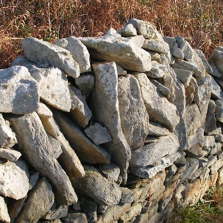 Beuzec-Cap-Sizun Les Chambres D'Hotes Du Cosquer المظهر الخارجي الصورة