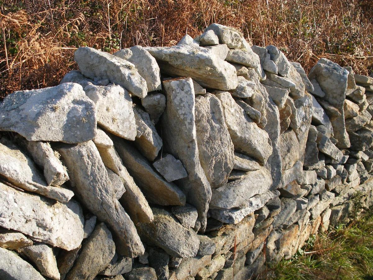 Beuzec-Cap-Sizun Les Chambres D'Hotes Du Cosquer المظهر الخارجي الصورة